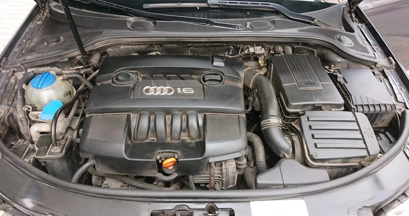 Audi A3 cena 18699 przebieg: 242000, rok produkcji 2007 z Kraków małe 37